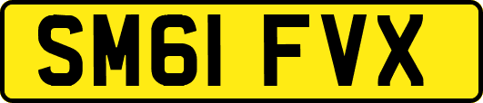 SM61FVX