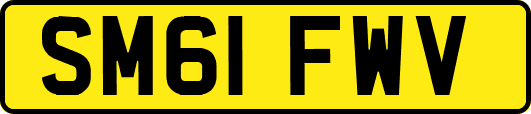 SM61FWV