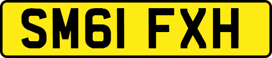 SM61FXH