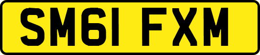 SM61FXM