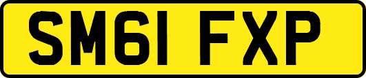 SM61FXP