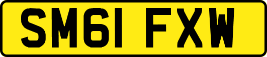 SM61FXW