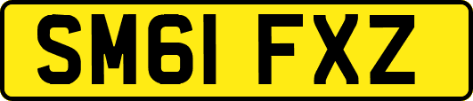 SM61FXZ
