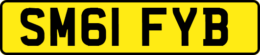 SM61FYB