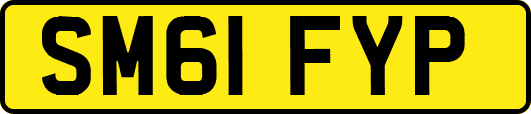 SM61FYP