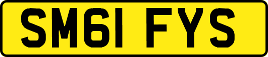SM61FYS