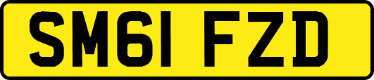 SM61FZD