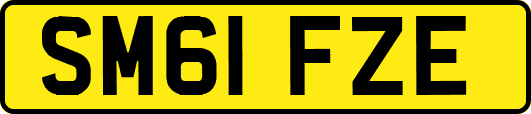 SM61FZE