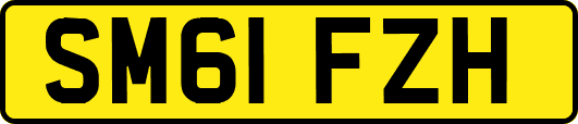 SM61FZH