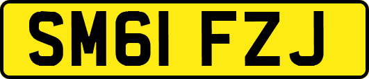 SM61FZJ