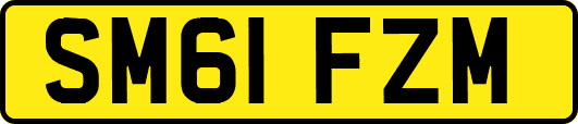 SM61FZM