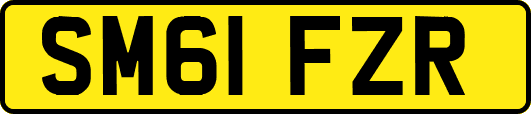 SM61FZR
