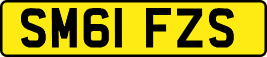 SM61FZS