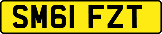 SM61FZT