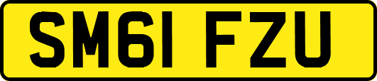 SM61FZU