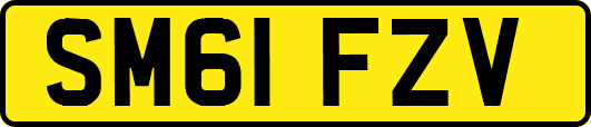 SM61FZV