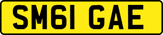 SM61GAE