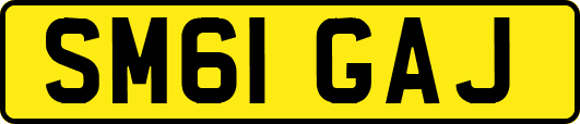 SM61GAJ