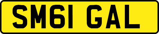 SM61GAL