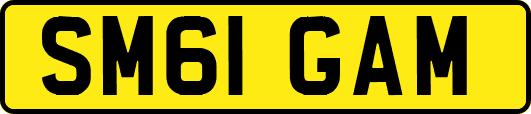 SM61GAM