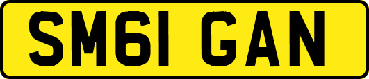 SM61GAN