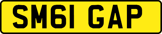 SM61GAP