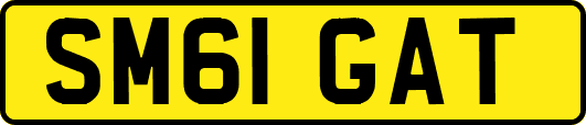 SM61GAT
