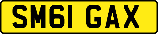 SM61GAX