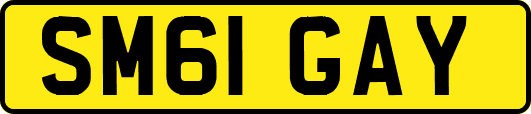SM61GAY