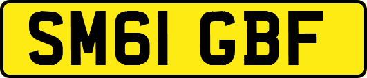 SM61GBF
