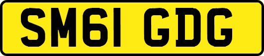 SM61GDG