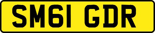 SM61GDR