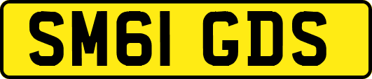 SM61GDS