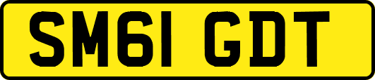 SM61GDT