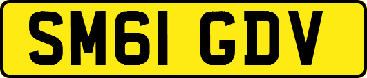 SM61GDV