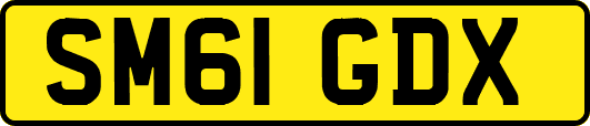 SM61GDX