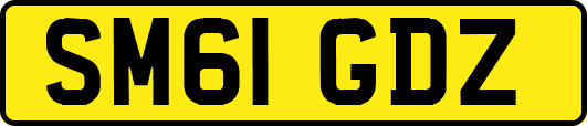 SM61GDZ