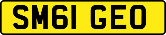 SM61GEO