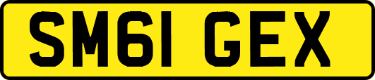 SM61GEX