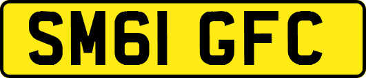 SM61GFC