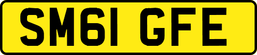 SM61GFE