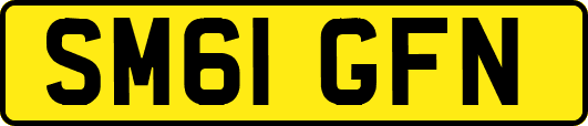 SM61GFN