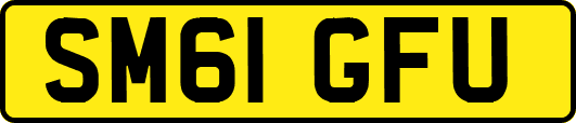 SM61GFU
