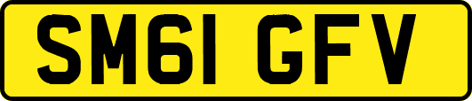 SM61GFV
