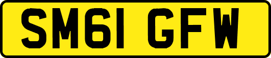 SM61GFW