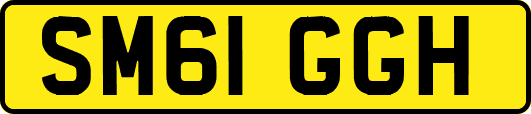 SM61GGH