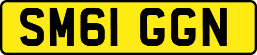 SM61GGN