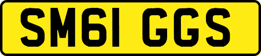 SM61GGS