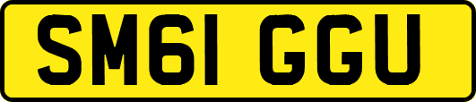 SM61GGU