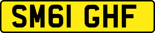 SM61GHF